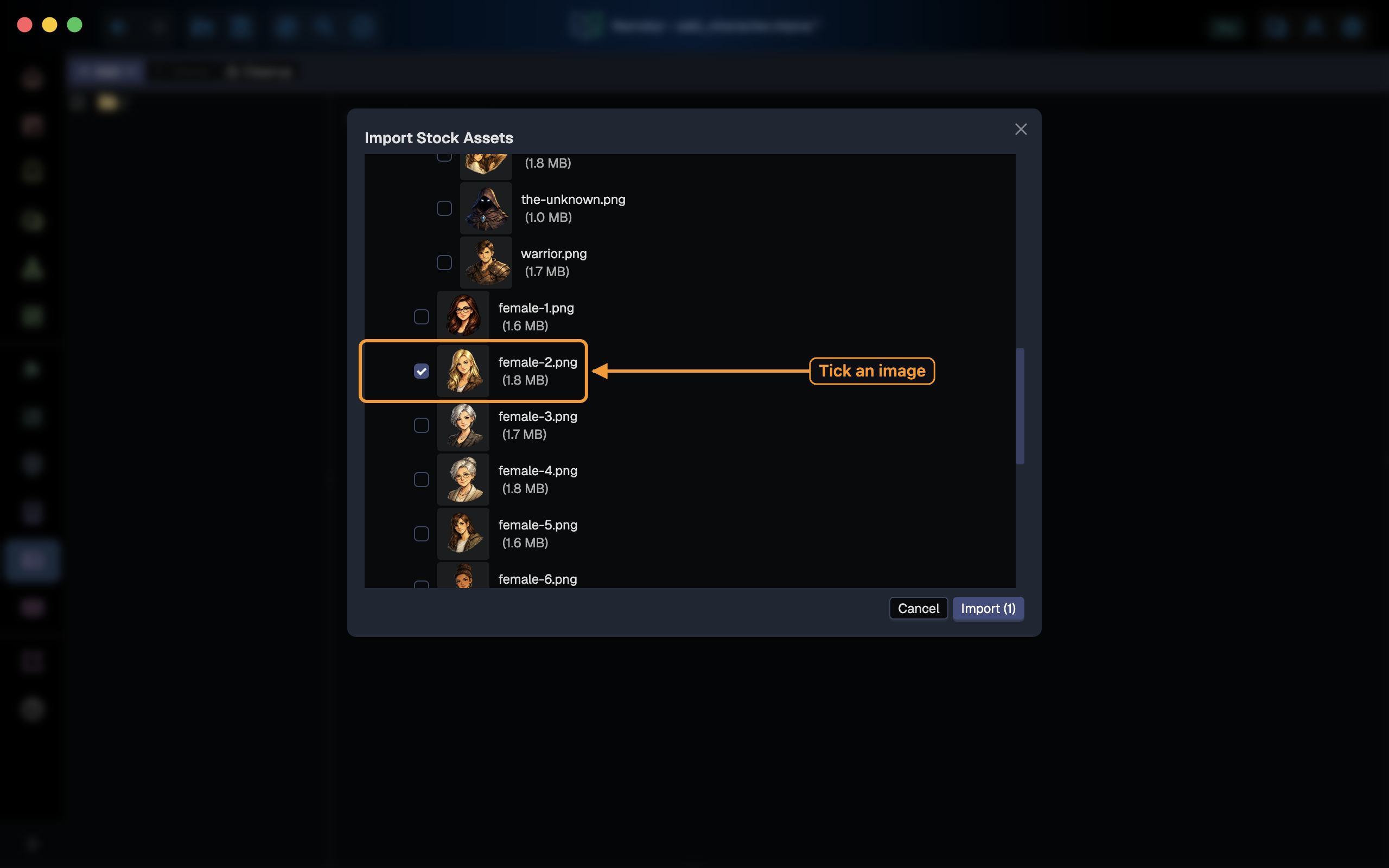The stock asset picker with an image ticked